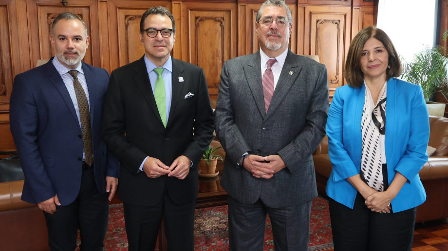 The Secretary General of International IDEA was accompanied by the Regional Director for Latin America, Marcela Ríos, and the Partnerships Officer in the Secretary General's office, Luis Consuegra.