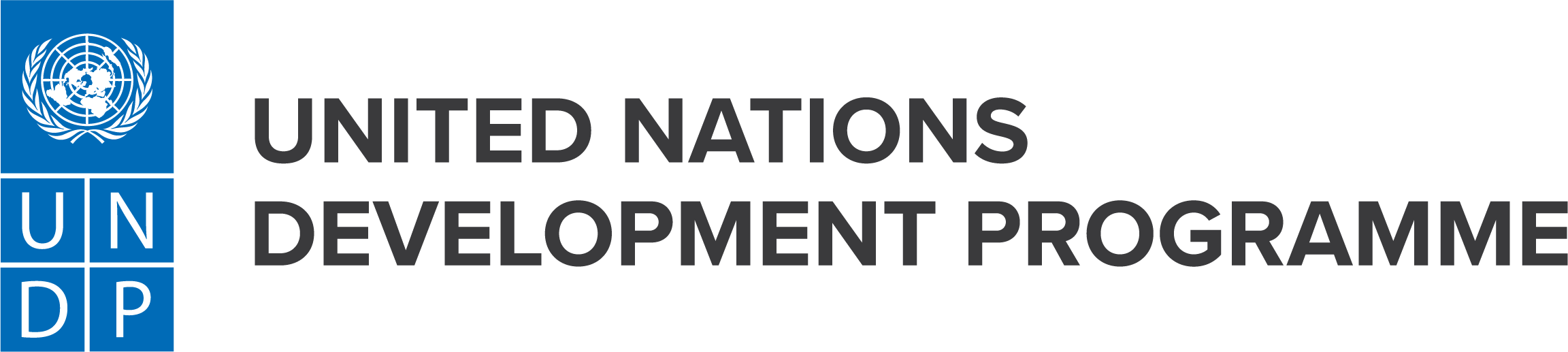 UNDP logo