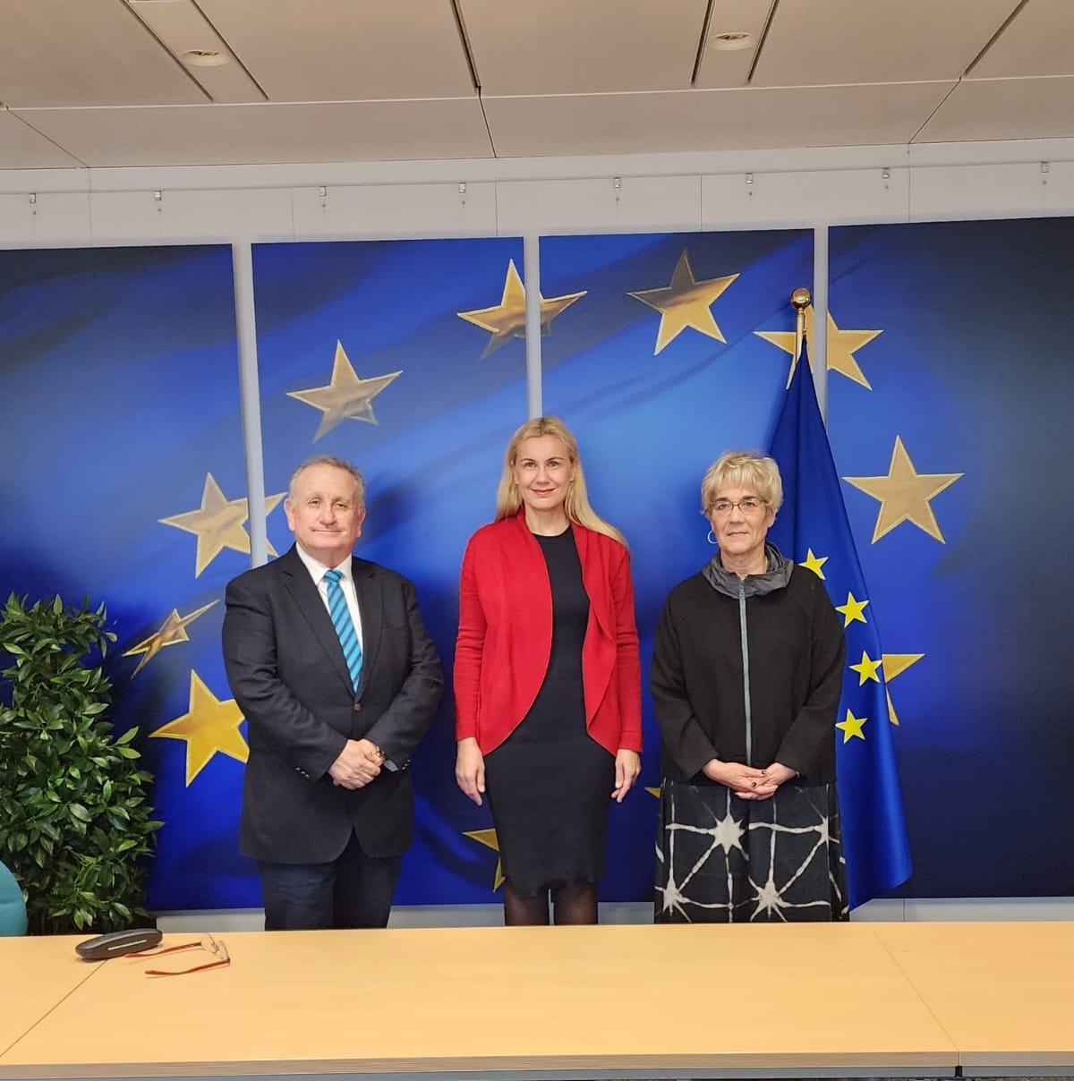 Meeting with Kadri Simson, Commissioner DG ENER of the European Commission