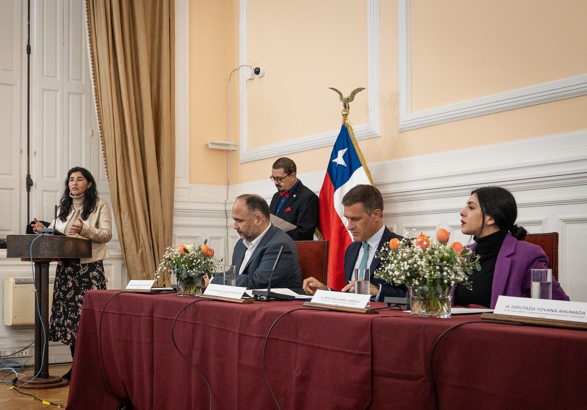 Yovana Ahumada, Presidenta de la Comisión de Minería y Energía de la Cámara de Diputados de Chile.