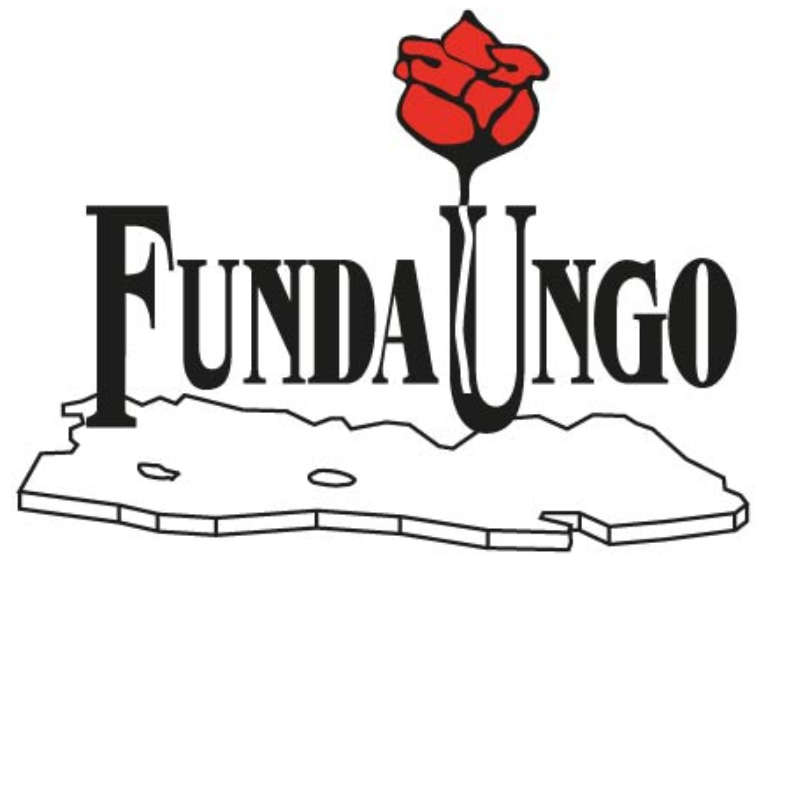  Fundación Doctor Guillermo Manuel Ungo (FUNDAUNGO)