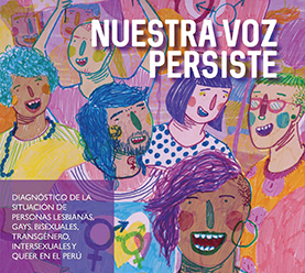 Nuestra Voz Persiste: Diagnóstico de la situación de personas lesbianas ...