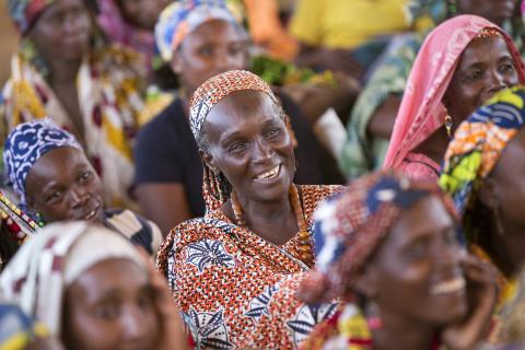 Women in Political Participation