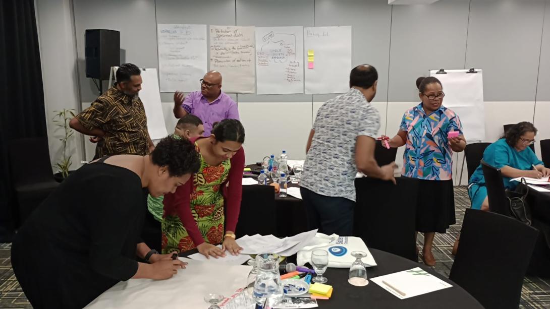 International IDEA workshop in Fiji, May 2024