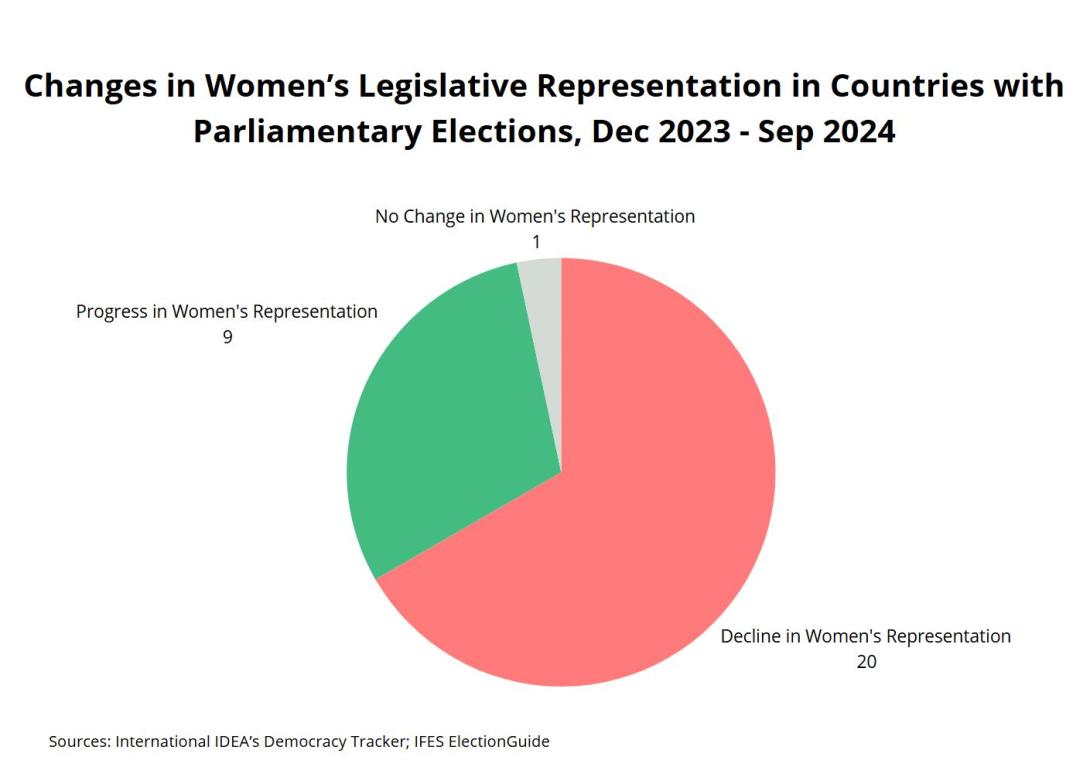 Parliamentary Elections WPP 2024_Julia Thalin