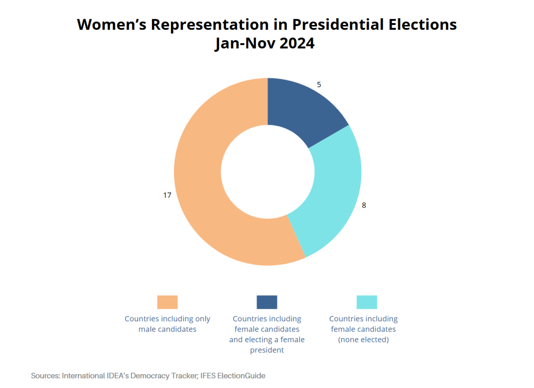 Presidential elections WPP Nov 2024_Julia Thalin