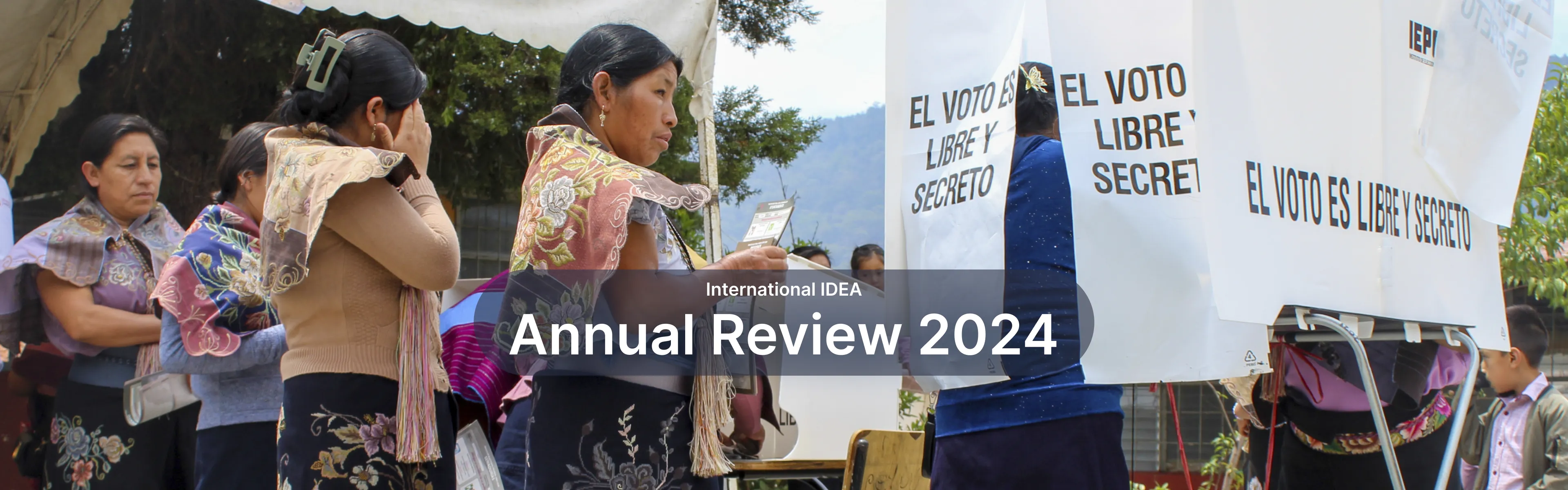 Annual Review 2024 cover homepage banner